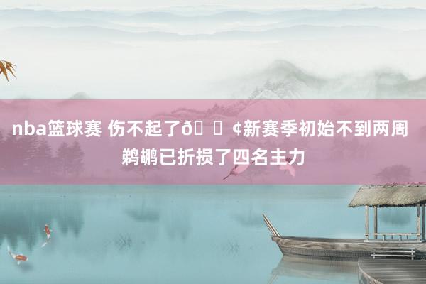 nba篮球赛 伤不起了😢新赛季初始不到两周 鹈鹕已折损了四名主力