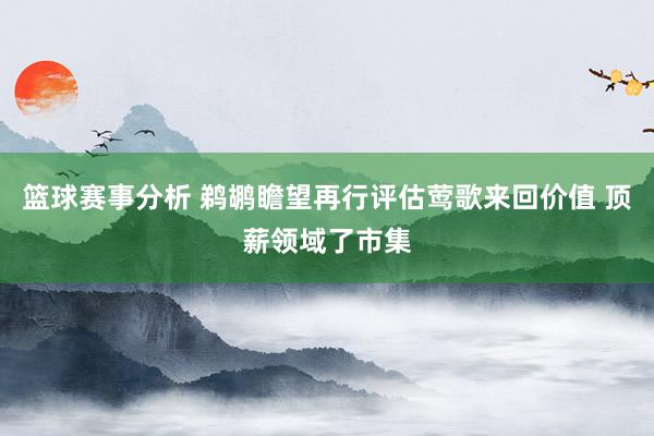 篮球赛事分析 鹈鹕瞻望再行评估莺歌来回价值 顶薪领域了市集